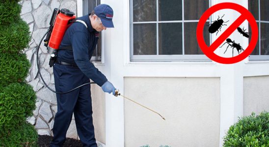 Yerköy Karınca İlaçlama böcek ilaçlama ve haşere kontrolü — ilaclama-tr.com